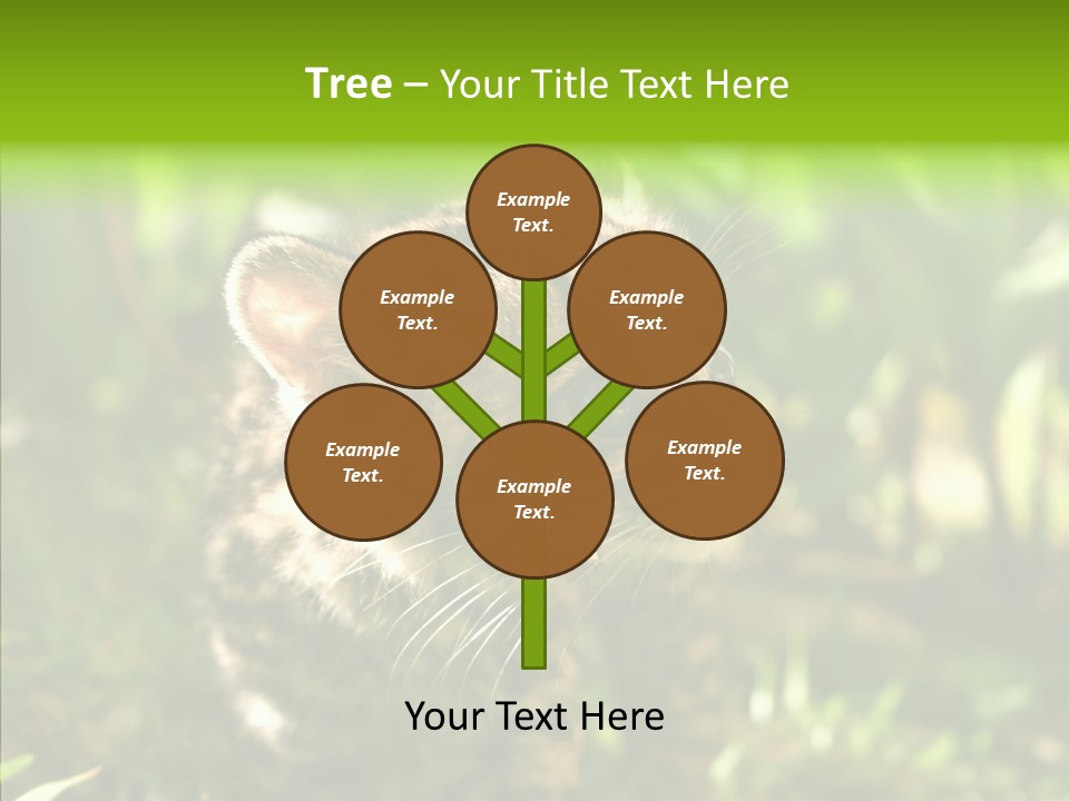 Cute Mammal Manigordo PowerPoint Template