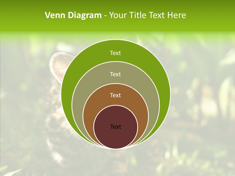 Cute Mammal Manigordo PowerPoint Template
