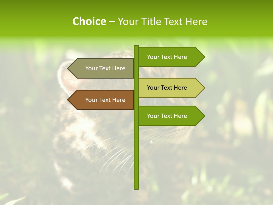Cute Mammal Manigordo PowerPoint Template
