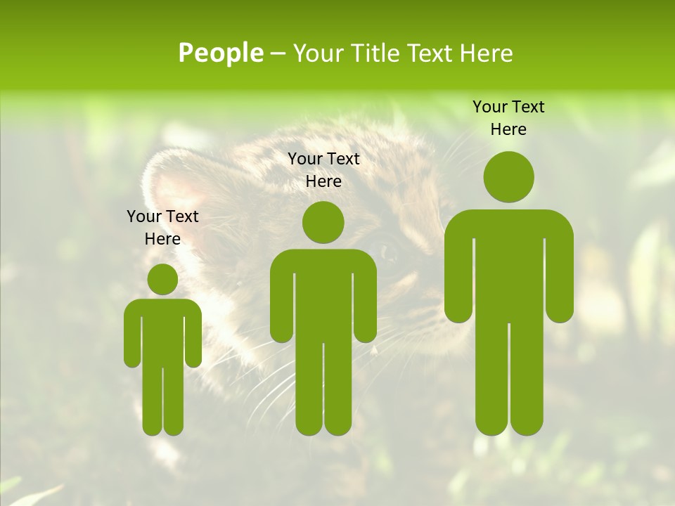 Cute Mammal Manigordo PowerPoint Template