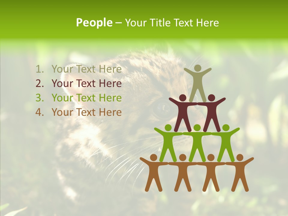 Cute Mammal Manigordo PowerPoint Template