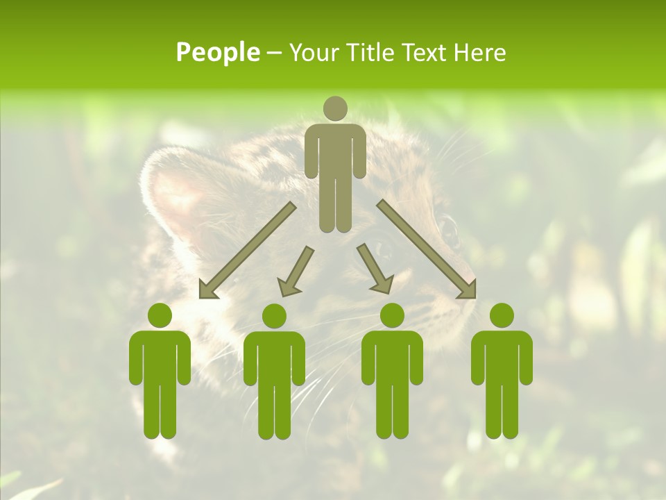 Cute Mammal Manigordo PowerPoint Template