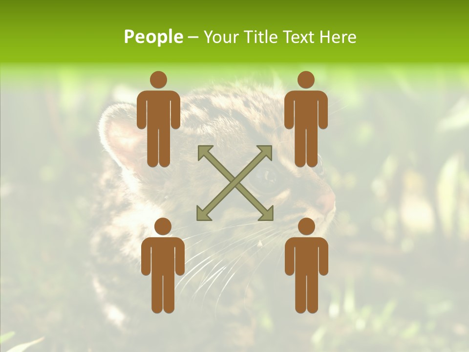 Cute Mammal Manigordo PowerPoint Template