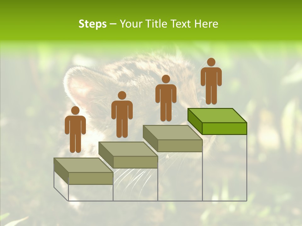 Cute Mammal Manigordo PowerPoint Template