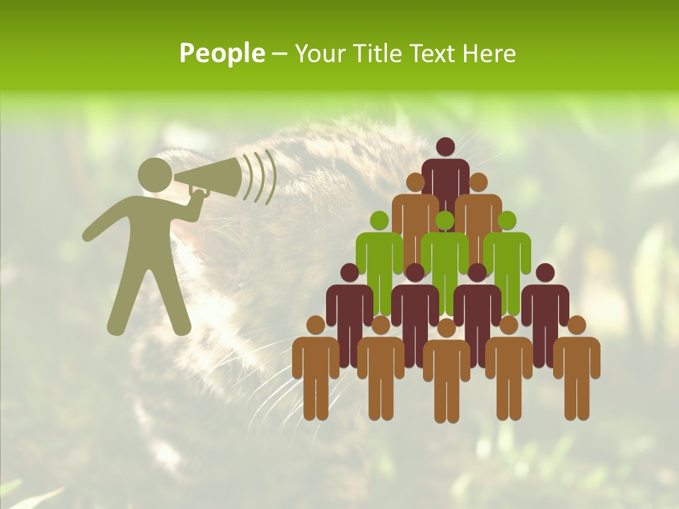 Cute Mammal Manigordo PowerPoint Template