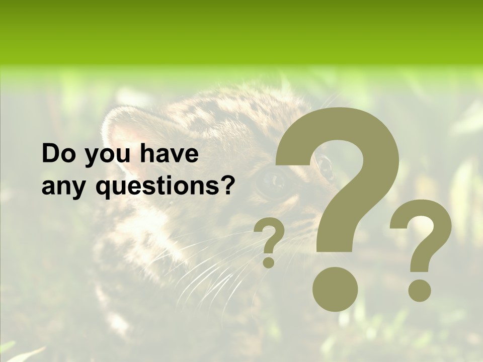 Cute Mammal Manigordo PowerPoint Template