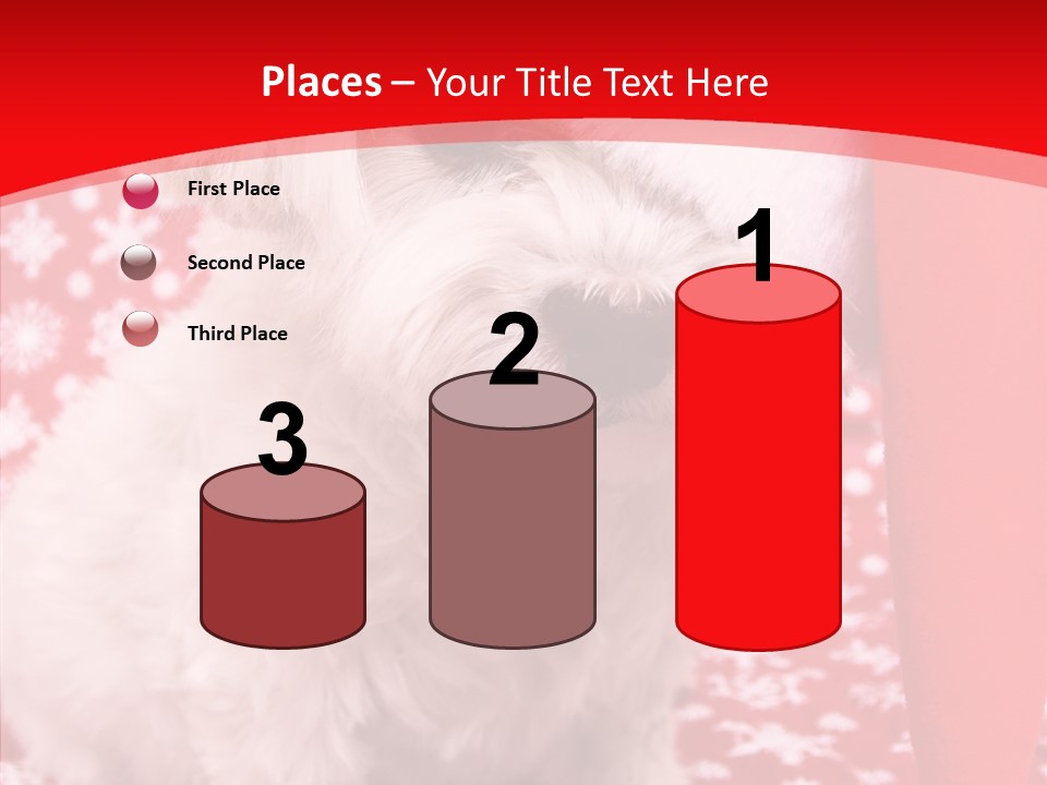 White Pup Hat PowerPoint Template