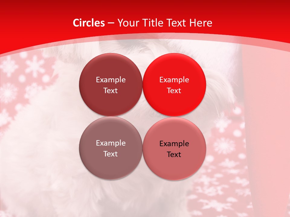 White Pup Hat PowerPoint Template