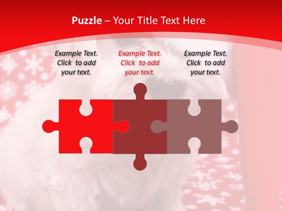 White Pup Hat PowerPoint Template