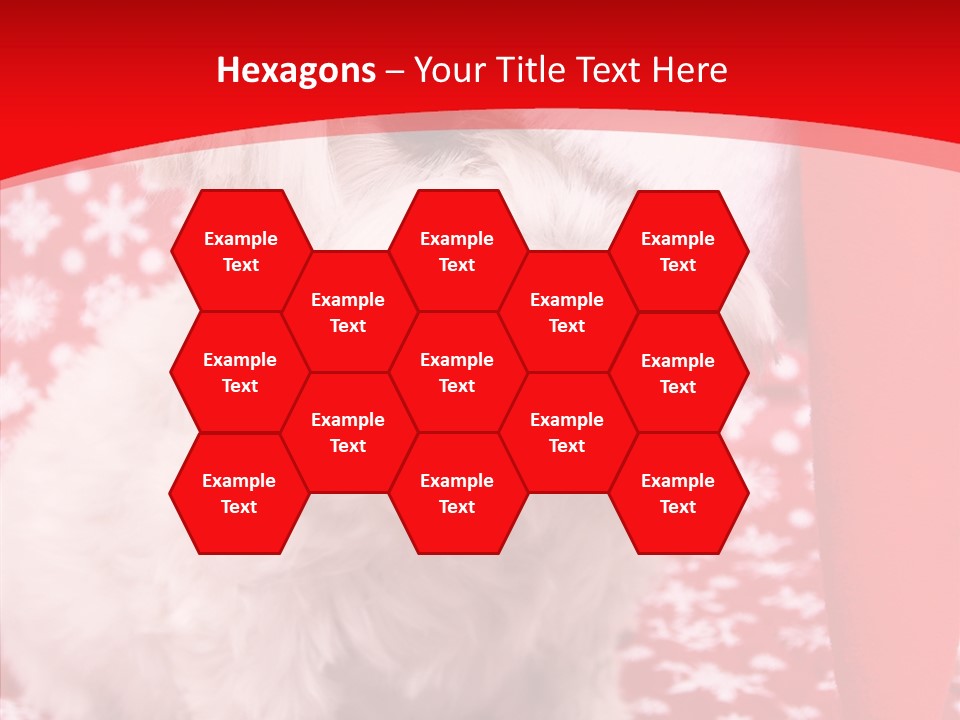 White Pup Hat PowerPoint Template