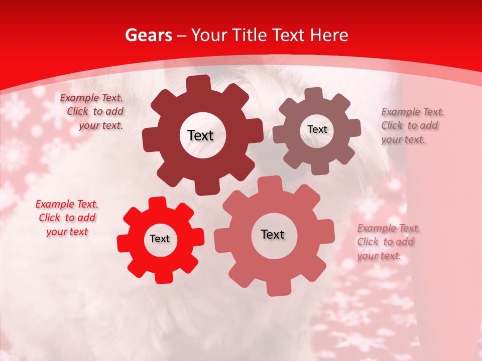 White Pup Hat PowerPoint Template