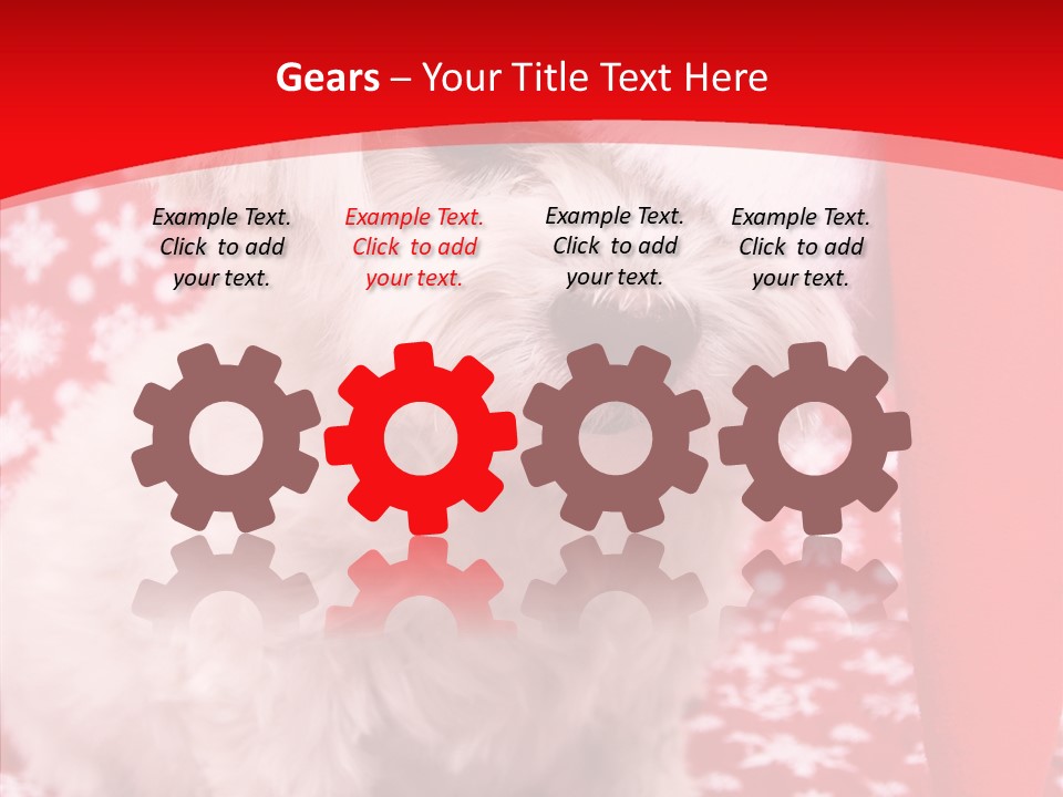 White Pup Hat PowerPoint Template