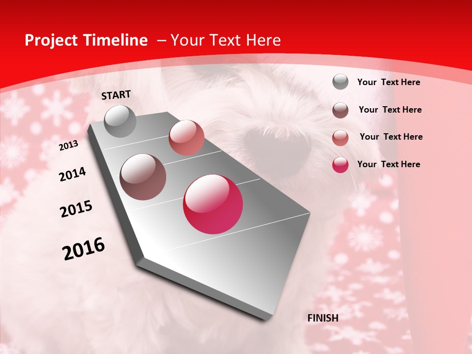 White Pup Hat PowerPoint Template