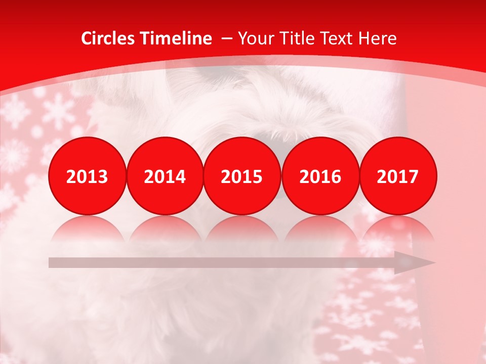 White Pup Hat PowerPoint Template