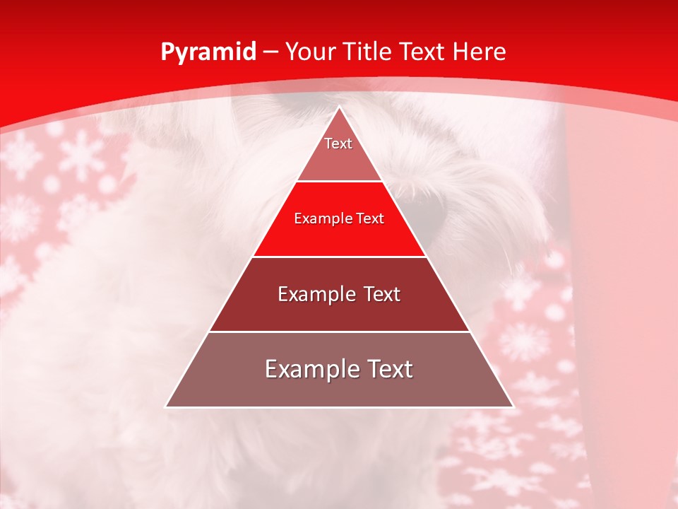 White Pup Hat PowerPoint Template