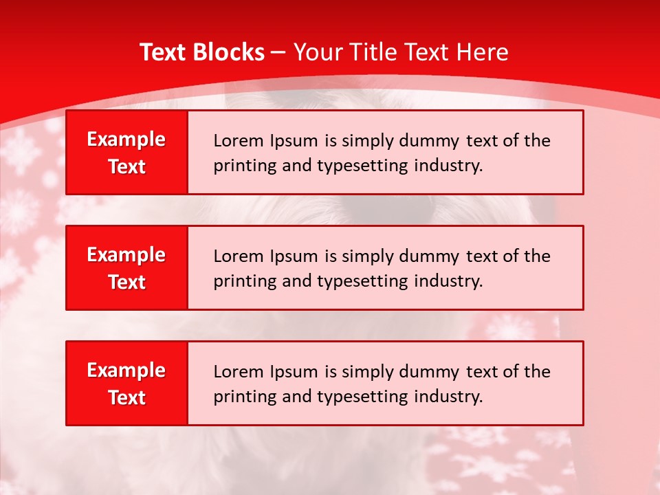 White Pup Hat PowerPoint Template