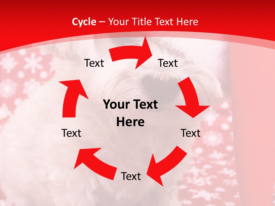 White Pup Hat PowerPoint Template