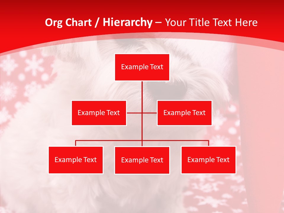 White Pup Hat PowerPoint Template