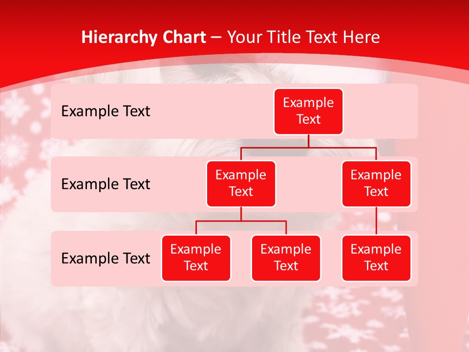 White Pup Hat PowerPoint Template