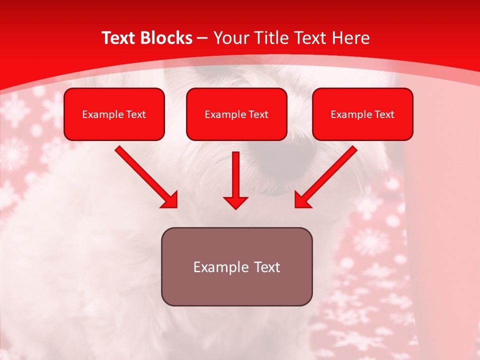 White Pup Hat PowerPoint Template