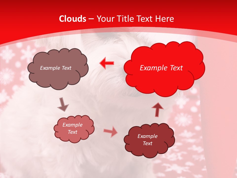 White Pup Hat PowerPoint Template