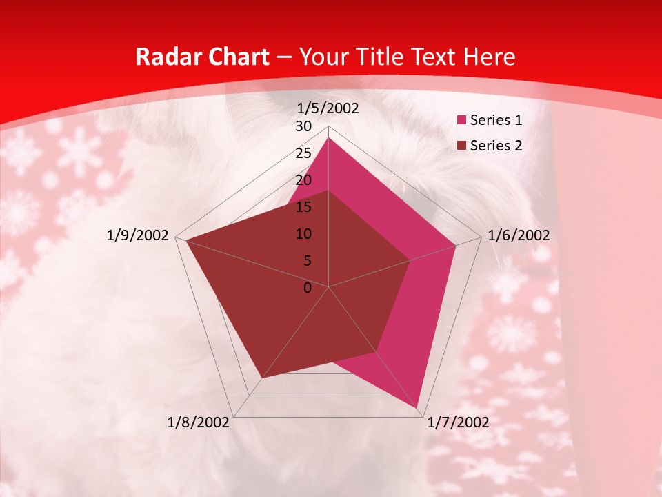 White Pup Hat PowerPoint Template