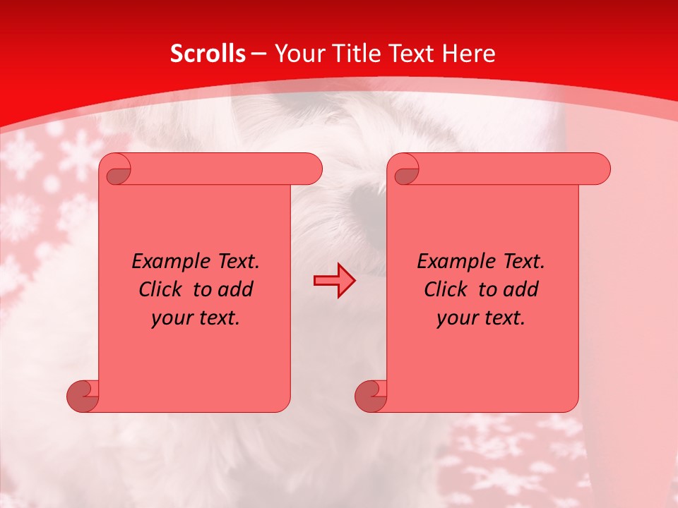 White Pup Hat PowerPoint Template