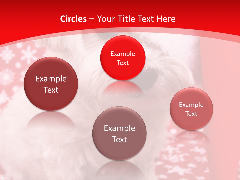White Pup Hat PowerPoint Template