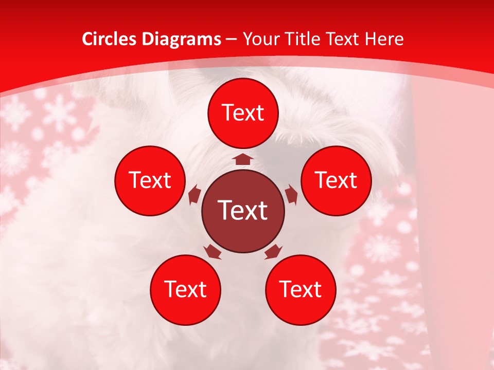 White Pup Hat PowerPoint Template