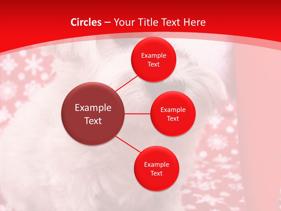White Pup Hat PowerPoint Template