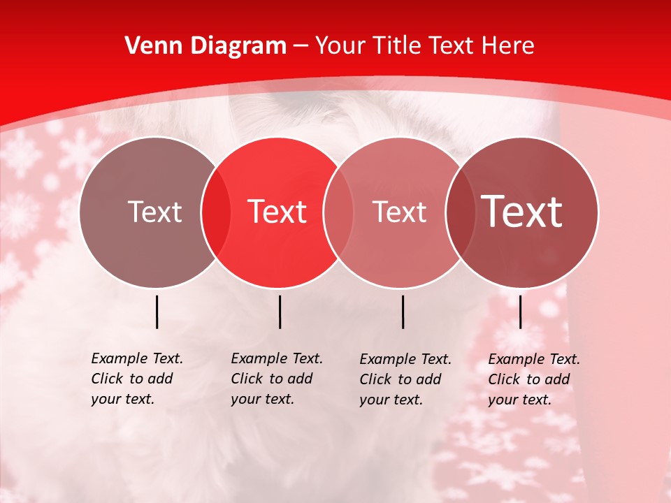 White Pup Hat PowerPoint Template