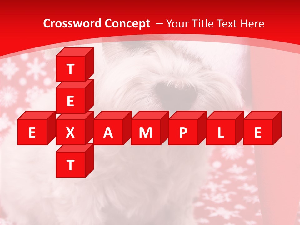 White Pup Hat PowerPoint Template