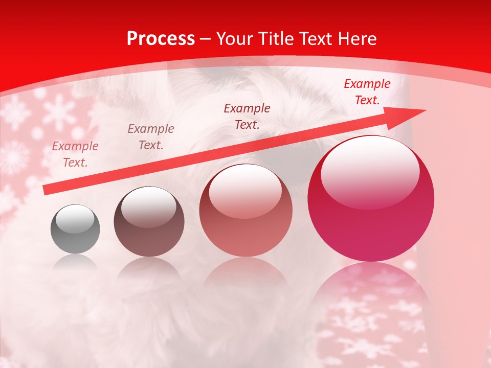 White Pup Hat PowerPoint Template