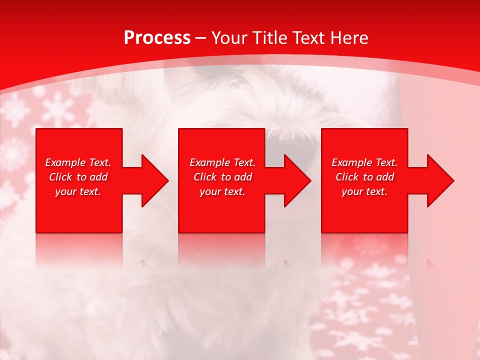 White Pup Hat PowerPoint Template