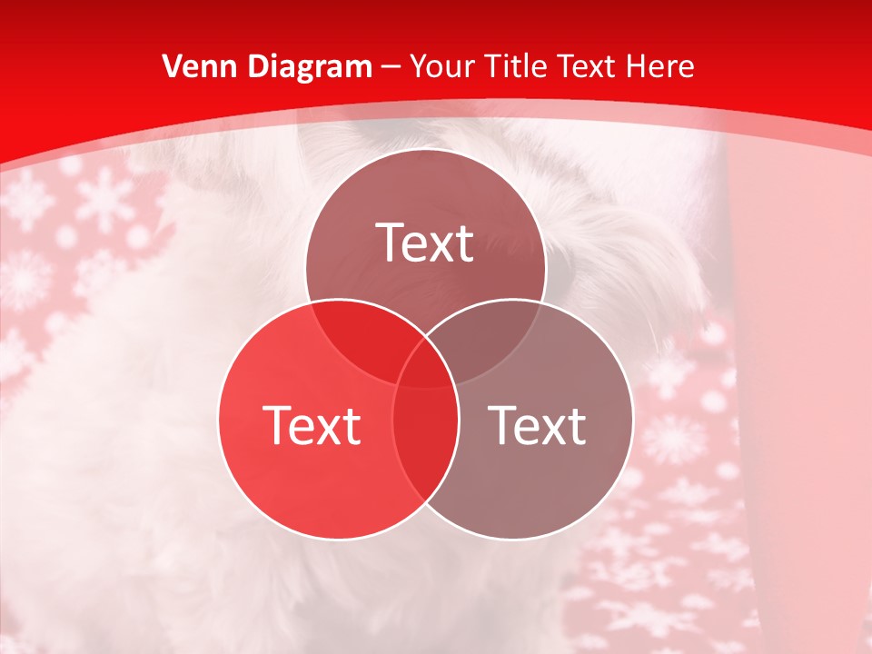 White Pup Hat PowerPoint Template