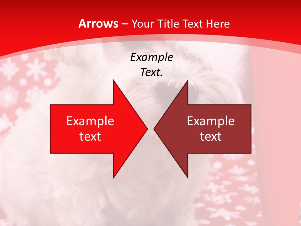 White Pup Hat PowerPoint Template