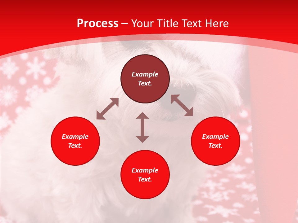 White Pup Hat PowerPoint Template