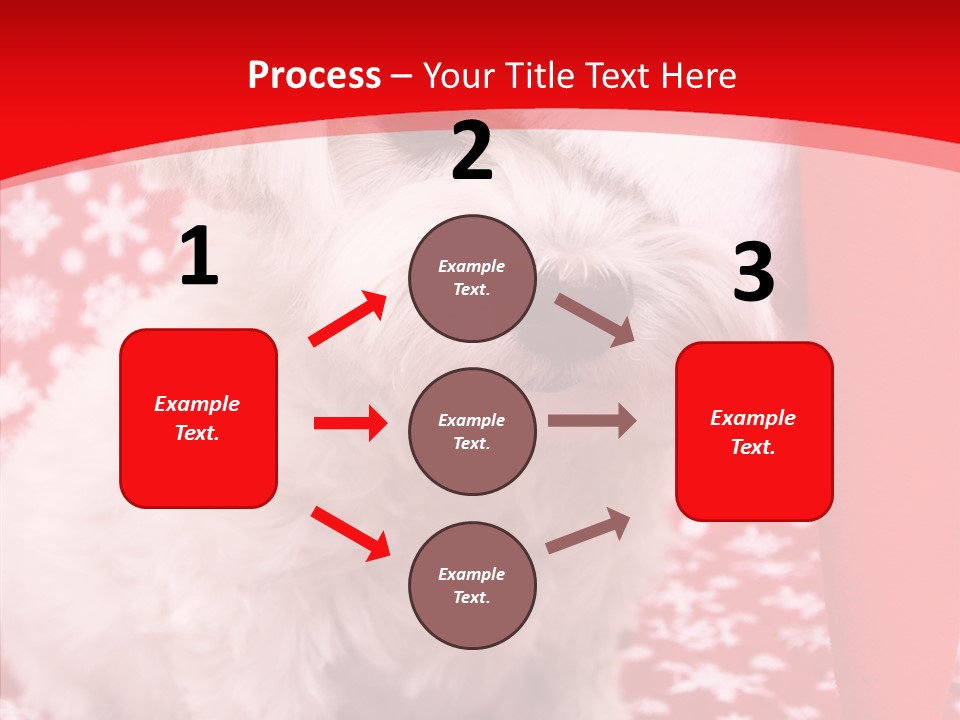 White Pup Hat PowerPoint Template