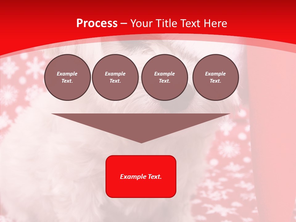 White Pup Hat PowerPoint Template