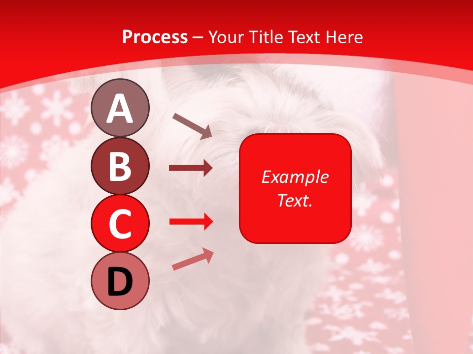 White Pup Hat PowerPoint Template