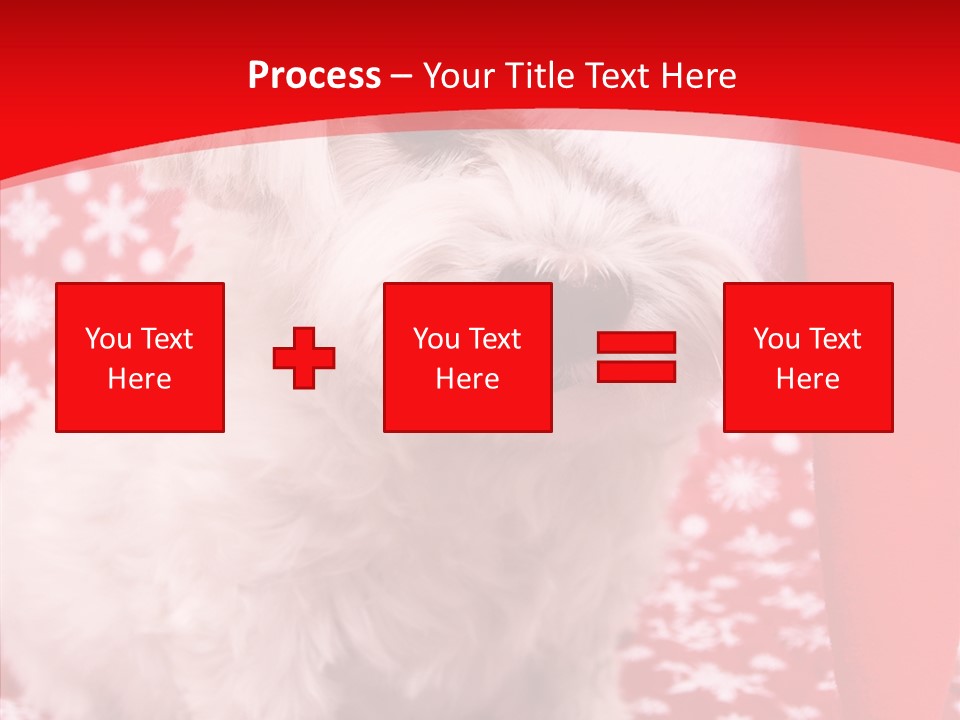 White Pup Hat PowerPoint Template