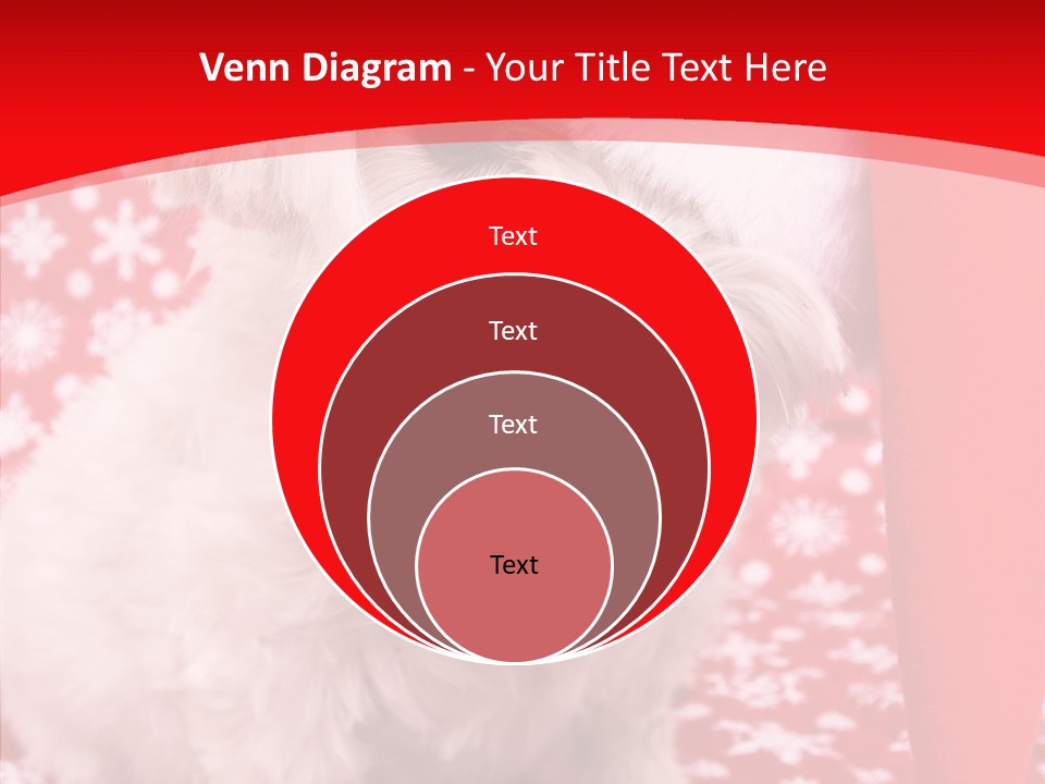 White Pup Hat PowerPoint Template