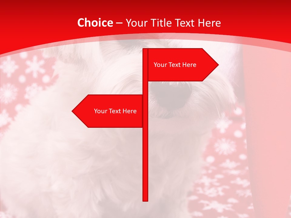 White Pup Hat PowerPoint Template