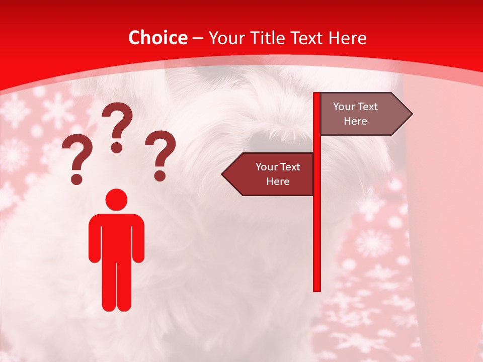 White Pup Hat PowerPoint Template