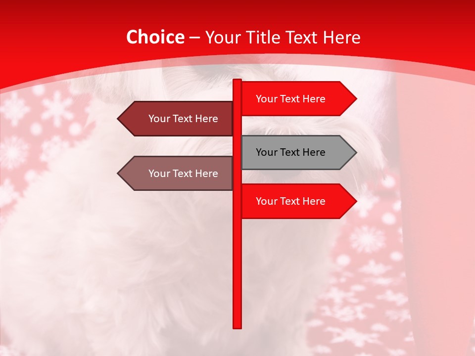 White Pup Hat PowerPoint Template