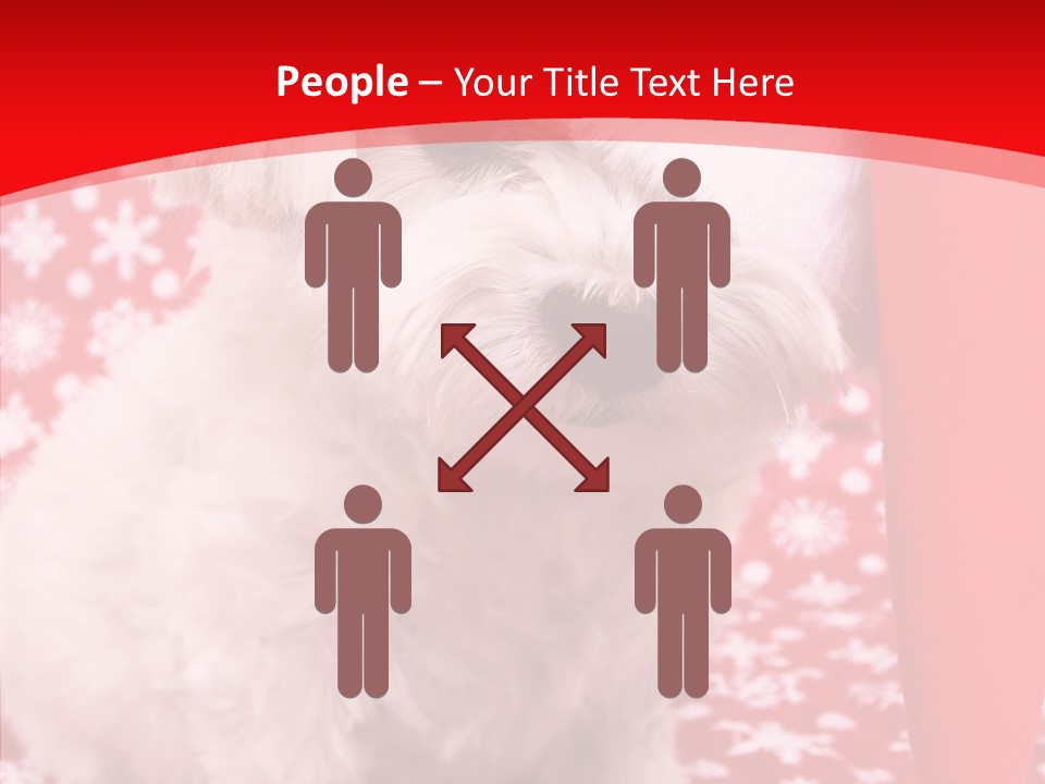 White Pup Hat PowerPoint Template