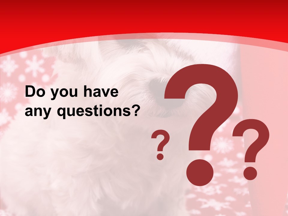 White Pup Hat PowerPoint Template