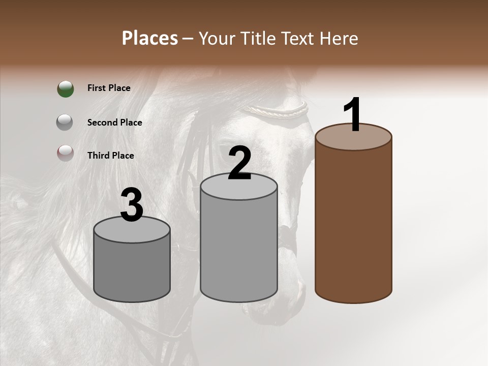 Stallion Active Horse PowerPoint Template