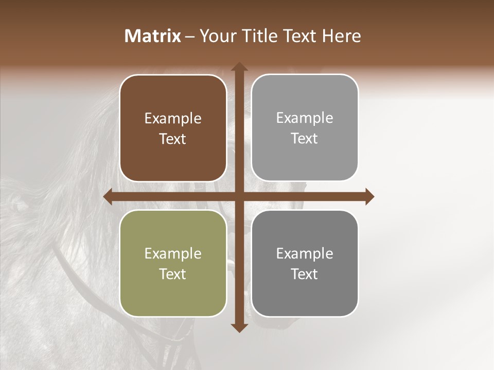 Stallion Active Horse PowerPoint Template