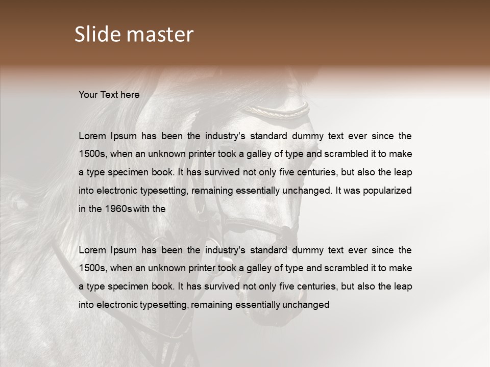 Stallion Active Horse PowerPoint Template